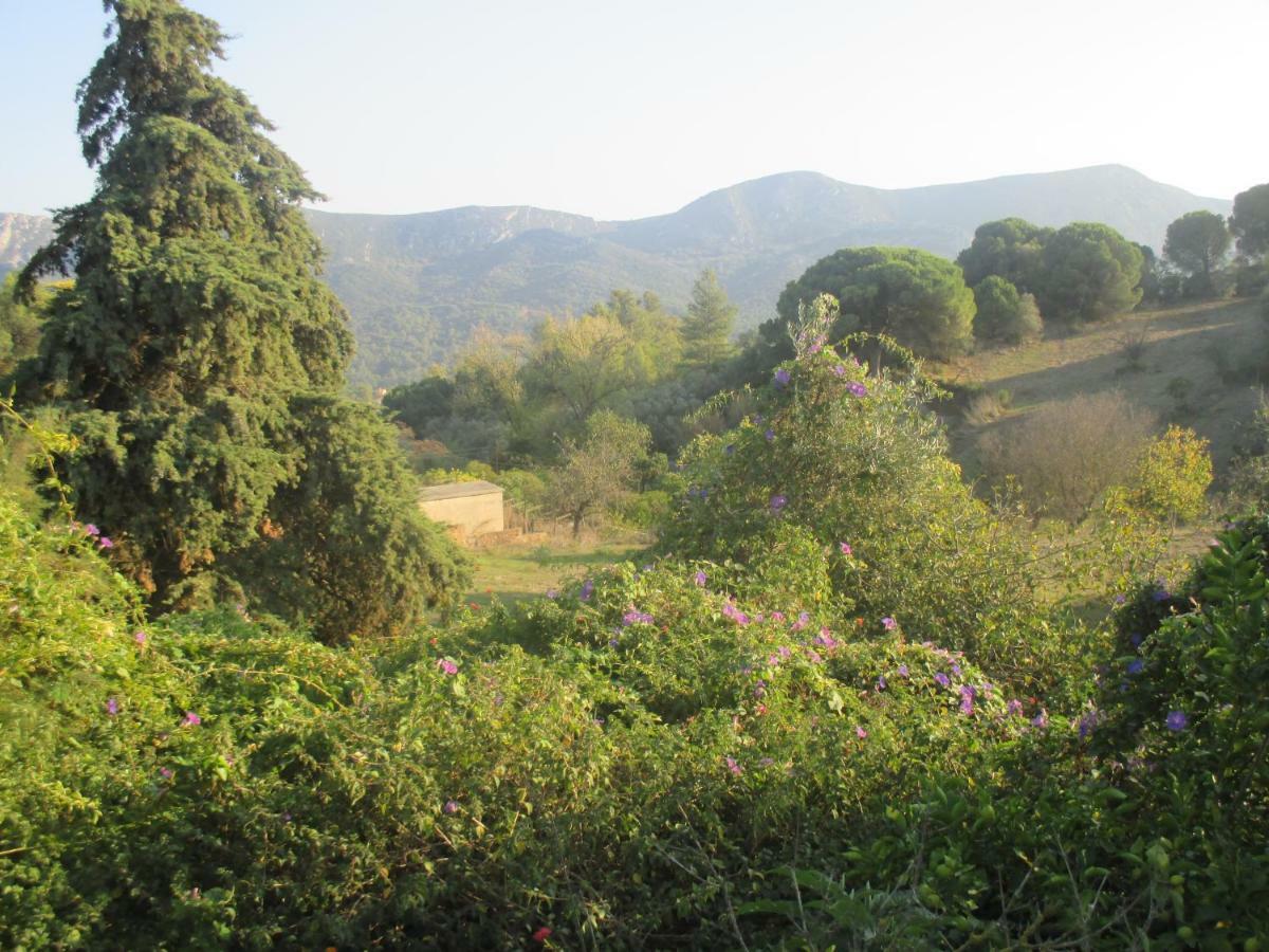 Coin De Paradis Quinta do Anjo Eksteriør billede